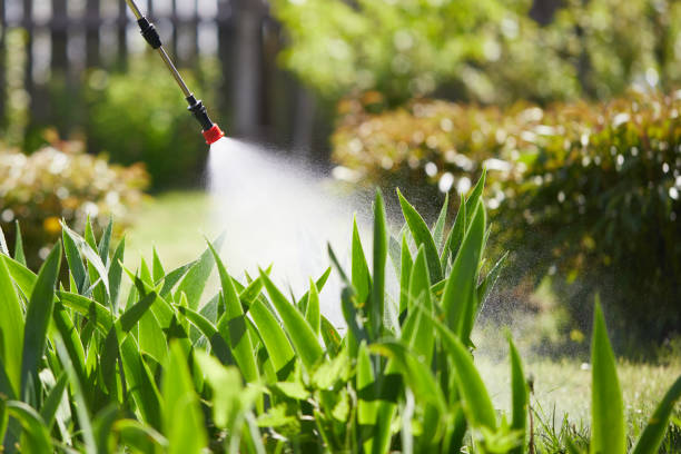24/7 Emergency Mosquito Control experts in Albany, LA